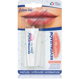 Regina Revitalizační mast na rty Deer Tallow Lip Balm For Dry And Chapped Skin 10 ml