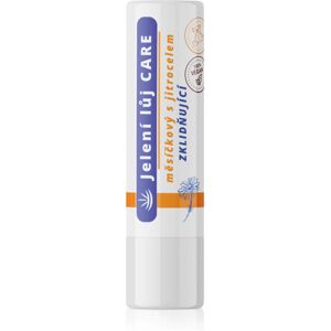 Regina Care Marigold calming balm for lips 4,5 g