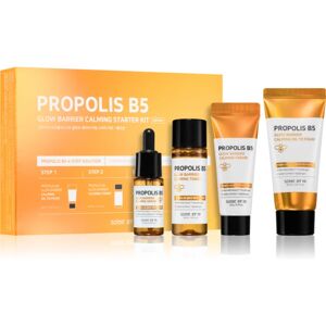 Some By Mi Propolis B5 Glow Barrier set (for radiance and hydration)