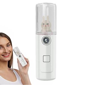 Shenrongtong Face Monsieur – Mini Portable Nano Ion Facial Sprayer for Skin, Refreshing, Revitalizing and Soothing – Facial Steam for One Use