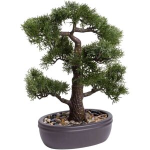 Botanic-Haus Kunstbonsai »Ceder Bonsai« grün Größe