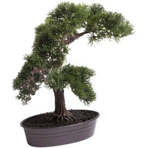 Botanic-Haus Kunstbonsai »Cedern Bonsai« dunkelgün Größe