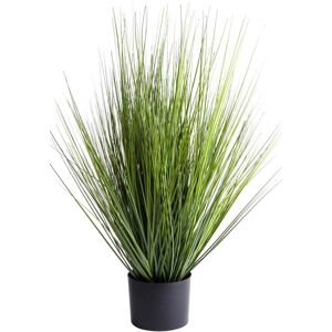 Botanic-Haus Kunstgras »Grasarrangement King Festuca« grün Größe