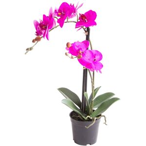 Botanic-Haus Kunstorchidee »Orchidee Bora« fuchsia Größe