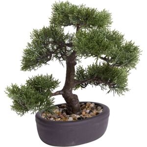 Botanic-Haus Kunstbonsai »Ceder Bonsai« grün Größe