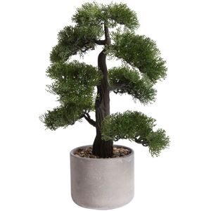 Botanic-Haus Kunstbonsai »Ceder Bonsai« grün Größe