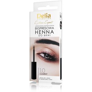 DELIA Eyebrow Expert en-komponent express øjenbryn henna 1.0 Sort 6ml