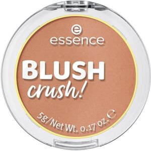 Essence Ansigtsmakeup Rouge BLUSH crush! 10 Caramel Latte