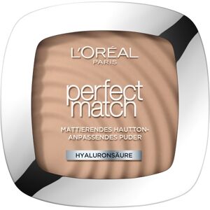 L’Oréal Paris Ansigtsmakeup Powder Perfect Match pudder 4.N Beige