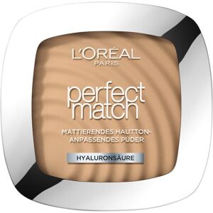 L’Oréal Paris Ansigtsmakeup Powder Perfect Match pudder D3/W3 Gylden Beige