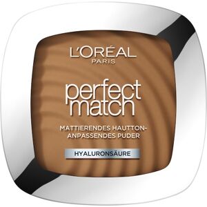 L’Oréal Paris Ansigtsmakeup Powder Perfect Match pudder 8.D/8.W Cappucchino Doré