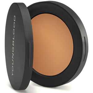 Youngblood Ultimate Concealer - Tan 2 g