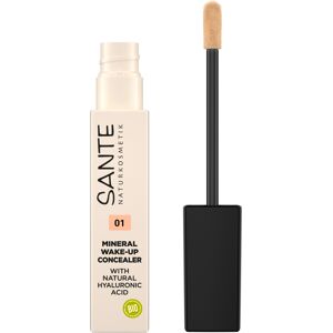 Sante Corrector Mineral Wake-up 01 Neutral Ivory