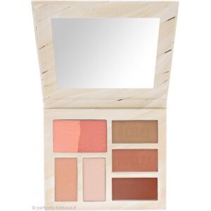 Sunkissed Contour Pro Palette 21.1g