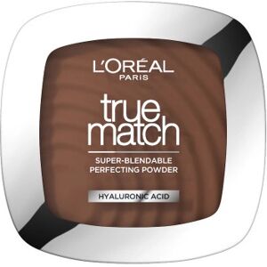 L'Oréal Paris True Match Powder 11.N