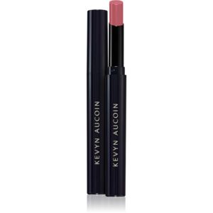 Unforgettable Lipstick - Matte rouge à lèvres mat teinte Explicit 2 g