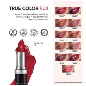 True Color Rouge À Lèvres Imperméable Velours Rouge À Lèvres Sexy Rouge Brun Pigments Maquillage Longue Durée Professionnel Rouge À Lèvres