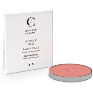 Couleur Caramel Recharge Fard a Joues Nº52 Rose Fraîcheur 7g