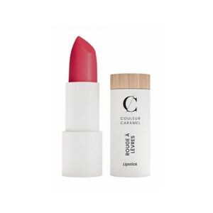 Couleur Caramel Barra de Labios N°290 Le Zephyr 3.5g