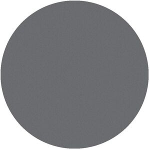 Parisax Professionnel Fard à paupière mat gris clair Parisax Professional