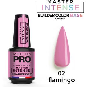 Base Master intense 02 flamingo Mollon Pro 12ML