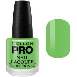 Mollon Pro Vernis Classique 15 ml Mollon Pro Avignon - 232