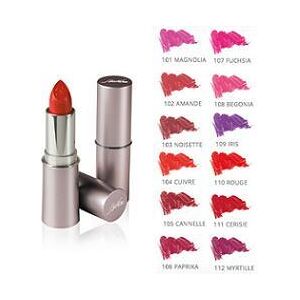 I.c.i.m. (bionike) internation BIONIKE DEFENCE COLOR ROSSETTO COLORE INTENSO 105 CANNELLE