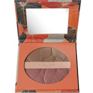 Deborah Maxi Terra Tropical Bronze SPF15 03 Dark