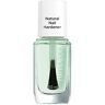 Artdeco Natural Nail Hardener Nagelverharder voor kwetsbare nagels, 1 x 10 ml