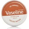 Vaseline Lip Therapy  met cacaoboter 20 g