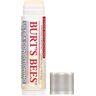 Burt's Bees Burt’s Bees Ultra Conditioning Lip Balm With Kokum Butter