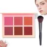 AUWIRUG Conchita Blush Palette, Conchita Matte Blush Powder, Conchita Blush Palette Matte Blush Powder, Conchita Blush Palette Powder, 6 Colors Blush Palette Cheek Blush Powder (A)