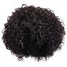 POWHA Hair Wigs 10 Inch Short Curly Brazilian Wigs Brazilian Human Hair Straight Human Lace Front Wigs