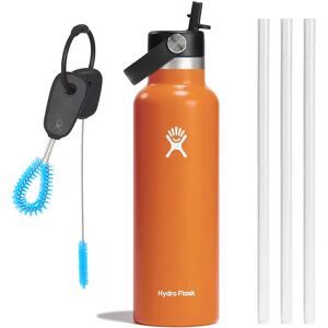 Hydro Flask Standard Straw Cap 21oz Starter Kit, Mesa