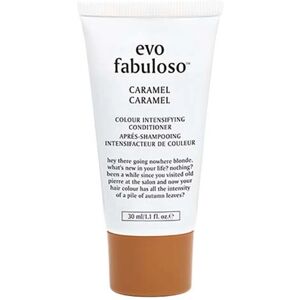 Evo Fabuloso Caramel (30ml)