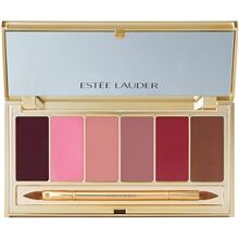 Estée Lauder Pure Color Envy Lip Palette 1 set  Cool Breeze