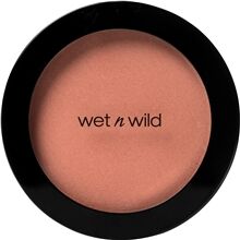 Wet n Wild Color Icon Blush 6 gram No. 556