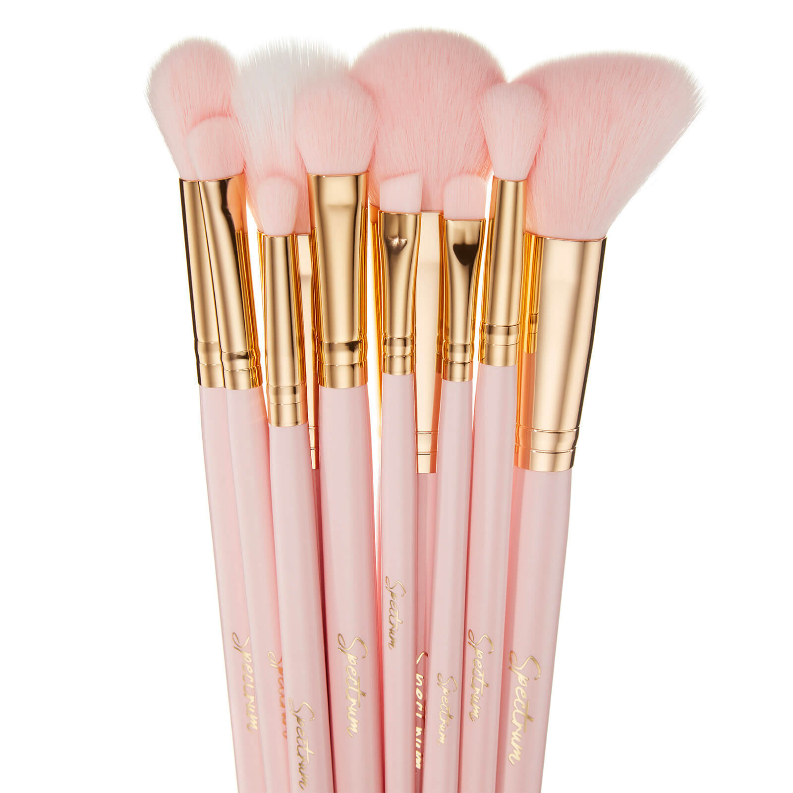 Spectrum Collections Exclusive 10 Piece Brush Set