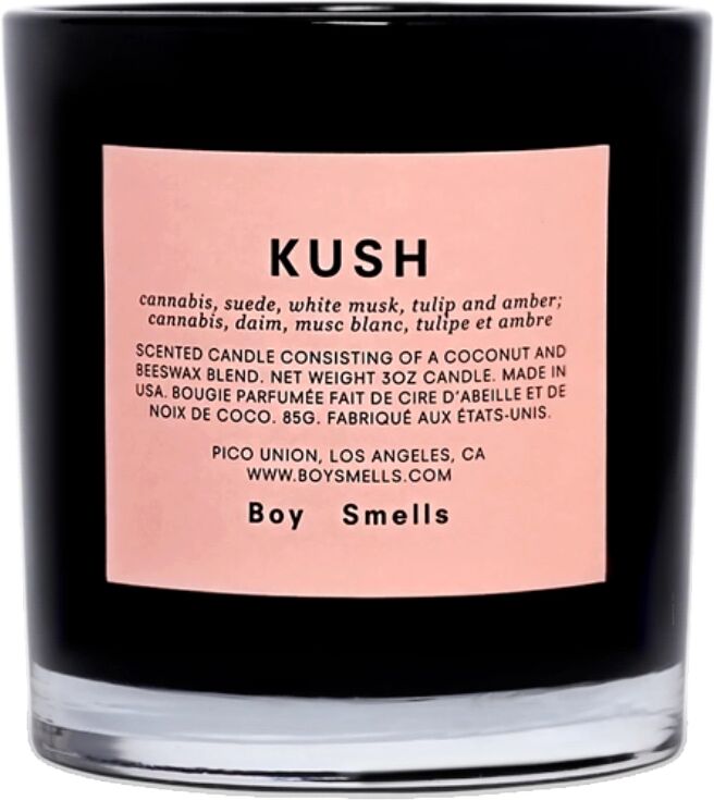 Boy Smells Kush