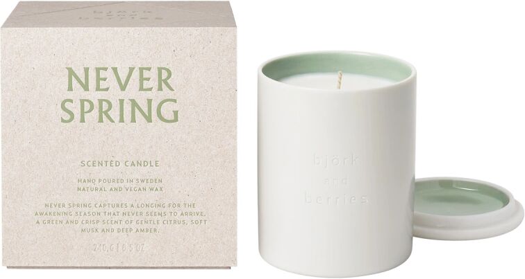 BjÃ¶rk & Berries Never Spring Scented Candle (240g)