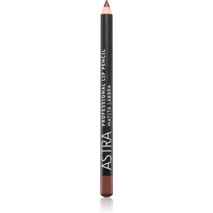 Astra Make-up Professional contour lip pencil shade 41 Wood 1,1 g