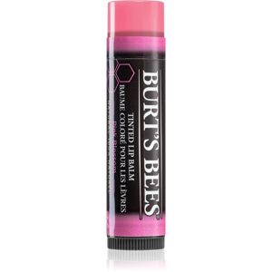 Burt’s Bees Tinted Lip Balm lip balm shade Pink Blossom 4.25 g