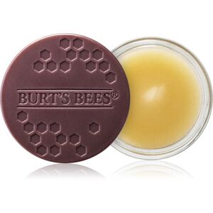 Burt’s Bees Lip Treatment intense overnight treatment for lips 7.08 g