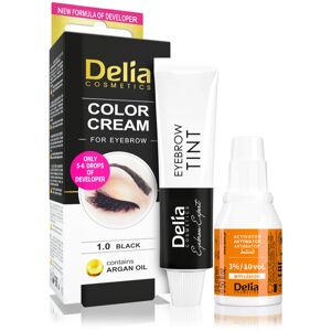 Delia Cosmetics Argan Oil brow colour shade 1.0 Black 15 ml