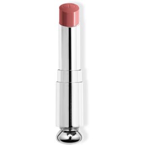 Christian Dior Dior Addict Refill gloss lipstick refill shade 422 Rose des Vents 3,2 g