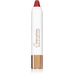 Embryolisse Artist Secret tinted lip balm with moisturising effect shade Rouge Intense 2,5 g