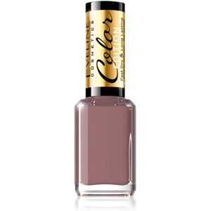 Eveline Cosmetics Color Edition high coverage nail polish shade 123 12 ml