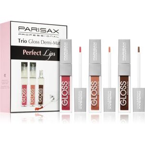 Parisax Perfect Lips Trio lip gloss set Demi-Mat