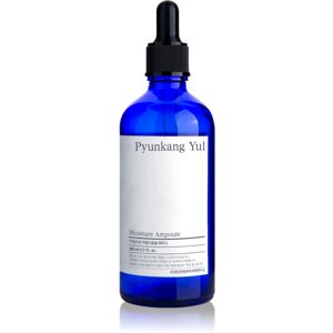 Pyunkang Yul Moisture Ampoule essence with moisturising effect 100 ml