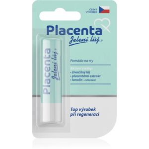 Regina Placenta lip balm with regenerative effect 4,5 g